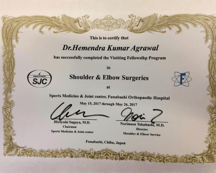 Shoulder & Elbow Fellowship – Funabashi, Japan