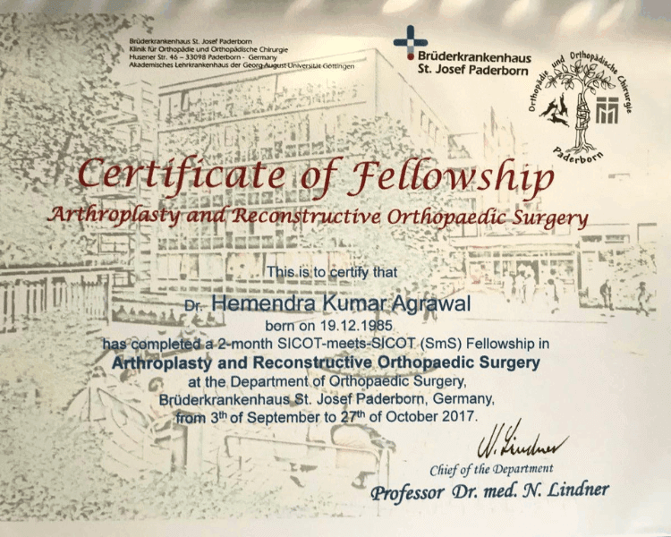 Fellowship in Arthroplasty – St. Josef Paderborn, Germany